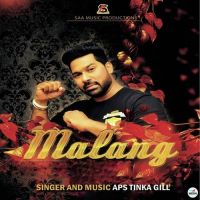 Malang APS Tinka Gill MP3 Song, Malang Album