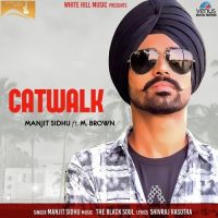 Catwalk Manjit Sidhu, M Brown MP3 Song, Catwalk Album