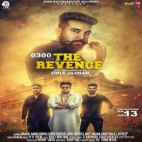 The Revenge 0300 Baaghi MP3 Song, The Revenge 0300 Album