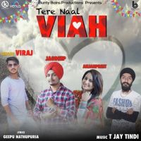 Tere Naal Viah Viraj MP3 Song, Tere Naal Viah Album