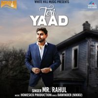Teri Yaad Mr Rahul MP3 Song, Teri Yaad Album