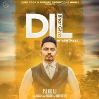Dil Bhar Giya Pankaj, Amit Shetty MP3 Song, Dil Bhar Giya Album