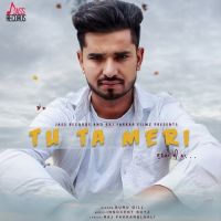 Tu Ta Meri Sunda E Na Guru Gill MP3 Song, Tu Ta Meri Sunda E Na Album