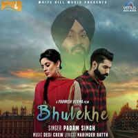 Bhulekhe Padam Singh MP3 Song, Bhulekhe Album