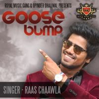 Goose Bump Raas Chaawla, Apekhsha Dandekar MP3 Song, Goose Bump Album
