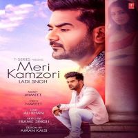 Meri Kamzori Ladi Singh MP3 Song, Meri Kamzori Album