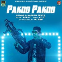 Pakdo Pakdo Nawab, Nazran Beats MP3 Song, Pakdo Pakdo Album
