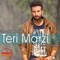 Teri Mazji Jagdeep Pandori MP3 Song, Teri Marzi Album