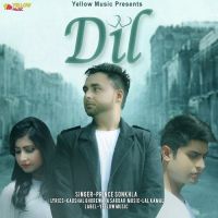 Dil Prince Sonkhla MP3 Song, Dil Album