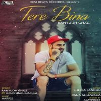 Tere Bina Ranyudh Ghag, Jhind Singh Narula MP3 Song, Tere Bina Album