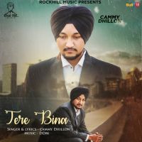 Tere Bina Cammy Dhillon MP3 Song, Tere Bina Album