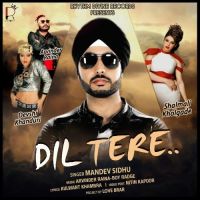 Dil Tere Mandev Sidhu, Shalmali Kholgade MP3 Song, Dil Tere Album