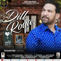 Dill Roya Shamsher Cheena MP3 Song, Dill Roya Album