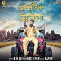 Chatiyan VS Jigraa Baaghi MP3 Song, Chatiyan VS Jigraa Album