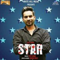 Star Vippy Singh MP3 Song, Star Album