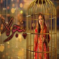 Pinjra Rahat Fateh Ali Khan, Noraan Laal MP3 Song, Pinjra Album