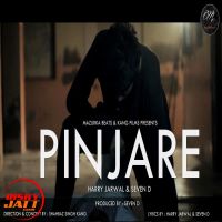 Pinjare Narci, Harry Jarwal, Seven D MP3 Song, Pinjare Album