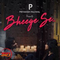Bheege se Priyansh Paliwal MP3 Song, Bheege se Album