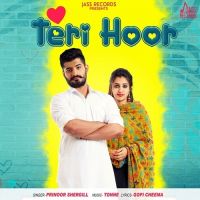 Teri Hoor Prinoor Shergill MP3 Song, Teri Hoor Album