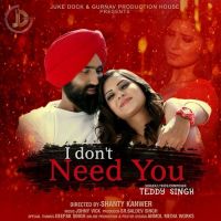 I Dont Need You Teddy Singh MP3 Song, I Dont Need You Album
