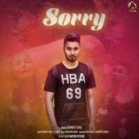 Sorry Gurmeet Gora MP3 Song, Sorry Album