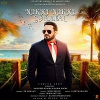 Nikki Nikki Gallon SB Armaan MP3 Song, Nikki Nikki Gallon Album