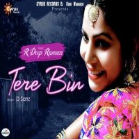 Tere Bin R Deep Raman MP3 Song, Tere Bin Album