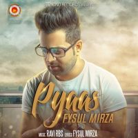 Pyaas Fysul Mirza MP3 Song, Pyaas Album