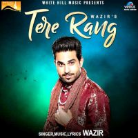 Tere Rang Wazir MP3 Song, Tere Rang Album