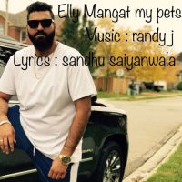 My Pets Elly Mangat MP3 Song, My Pets Album
