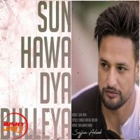 Sun Hawa Dya Bulleya Sajjan Adeeb MP3 Song, Sun Hawa Dya Bulleya Album