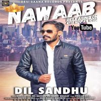 Nawaab Dil Sandhu MP3 Song, Nawaab Album