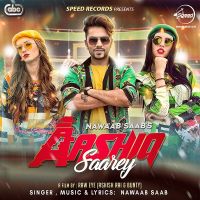 Aashiq Saarey Nawaab Saab MP3 Song, Aashiq Saarey Album