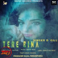 Tere bina D Gill MP3 Song, Tere bina Album