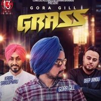 Grass Gora Gill MP3 Song, Grass Album