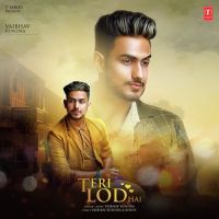 Teri Lod Hai Vaibhav Kundra MP3 Song, Teri Lod Hai Album