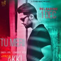 Tu Meri Akki MP3 Song, Tu Meri Album