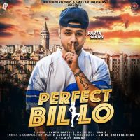 Perfect Billo Parth Sarthi MP3 Song, Perfect Billo Album
