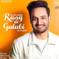 Rang Di Gulabi Sajjan Adeeb MP3 Song, Rang Di Gulabi Album