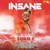 Insane Sukh E Muzical Doctorz MP3 Song, Insane Album