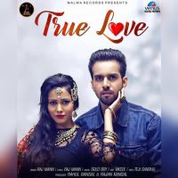 True Love Punjabi 2018 Raj Mann MP3 Song, True Love Album