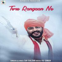 Tere Rangaan Ne Sai Sultan MP3 Song, Tere Rangaan Ne Album