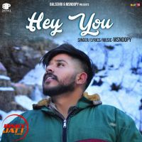 Hey you Msnoopy MP3 Song, Hey you Album
