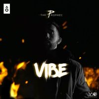 Vibe The PropheC MP3 Song, Vibe Album