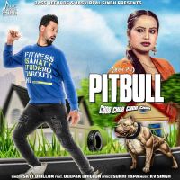 Pitbull Deepak Dhillon, Satt Dhillon MP3 Song, Pitbull Album