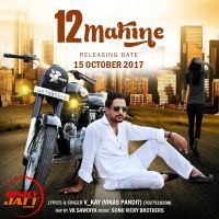 12 Mahine V Kay (Vikas Pandit) MP3 Song, 12 Mahine Album