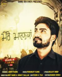 Mare Malka Lucky Kang MP3 Song, Mare Malka Album