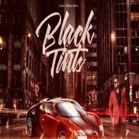 Black Tints Jagz Dhaliwal MP3 Song, Black Tints Album