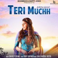 Teri Muchh Sukhdeep Grewal MP3 Song, Teri Muchh Album
