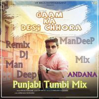 Gaam Ka Desi Chhora Raju Punjabi MP3 Song, Gaam Ka Desi Chhora Album